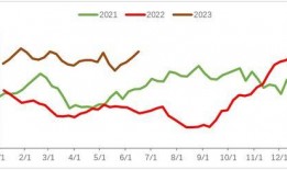 王茜 麻豆,时尚界的璀璨新星
