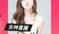 91噜直播间,揭秘网红直播背后的精彩故事